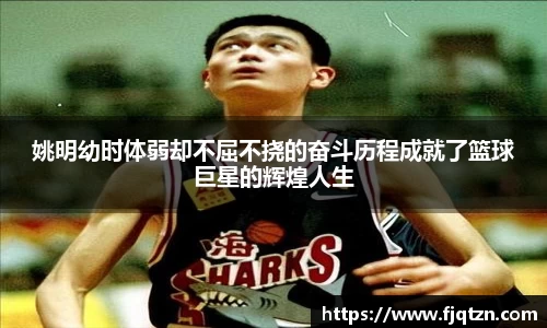 XK星空体育(中国)集团