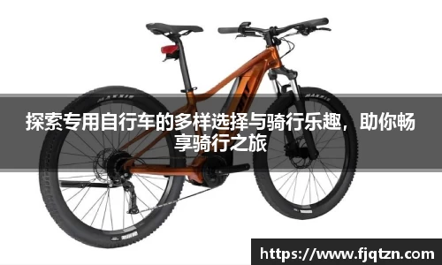探索专用自行车的多样选择与骑行乐趣，助你畅享骑行之旅